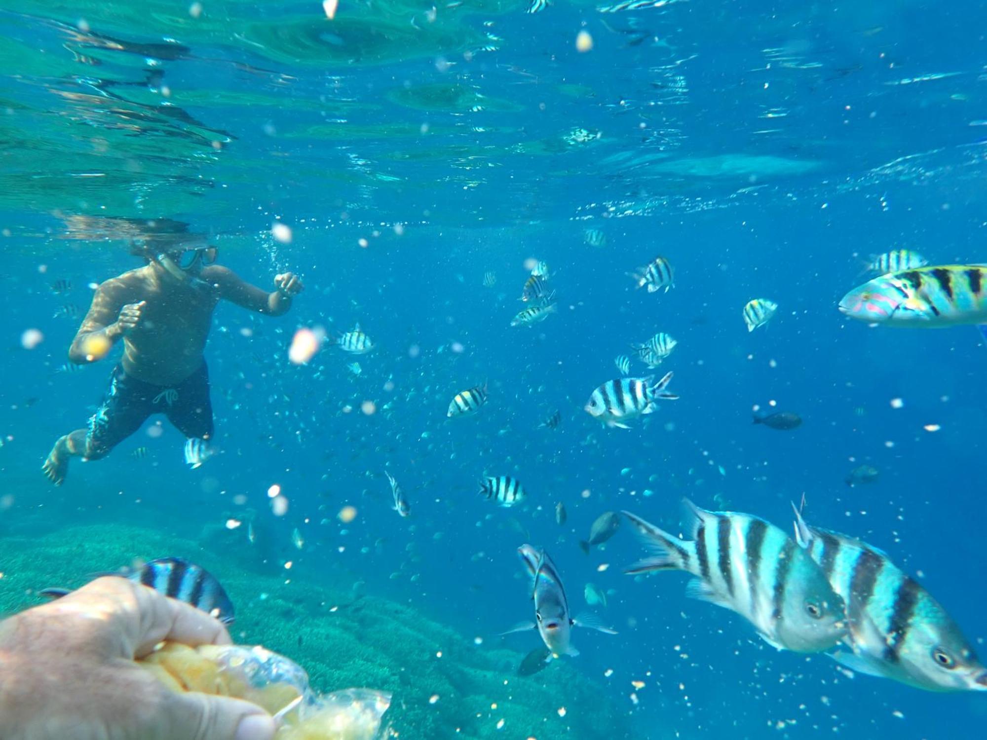 United Colors Of Lembongan Hotel Екстериор снимка